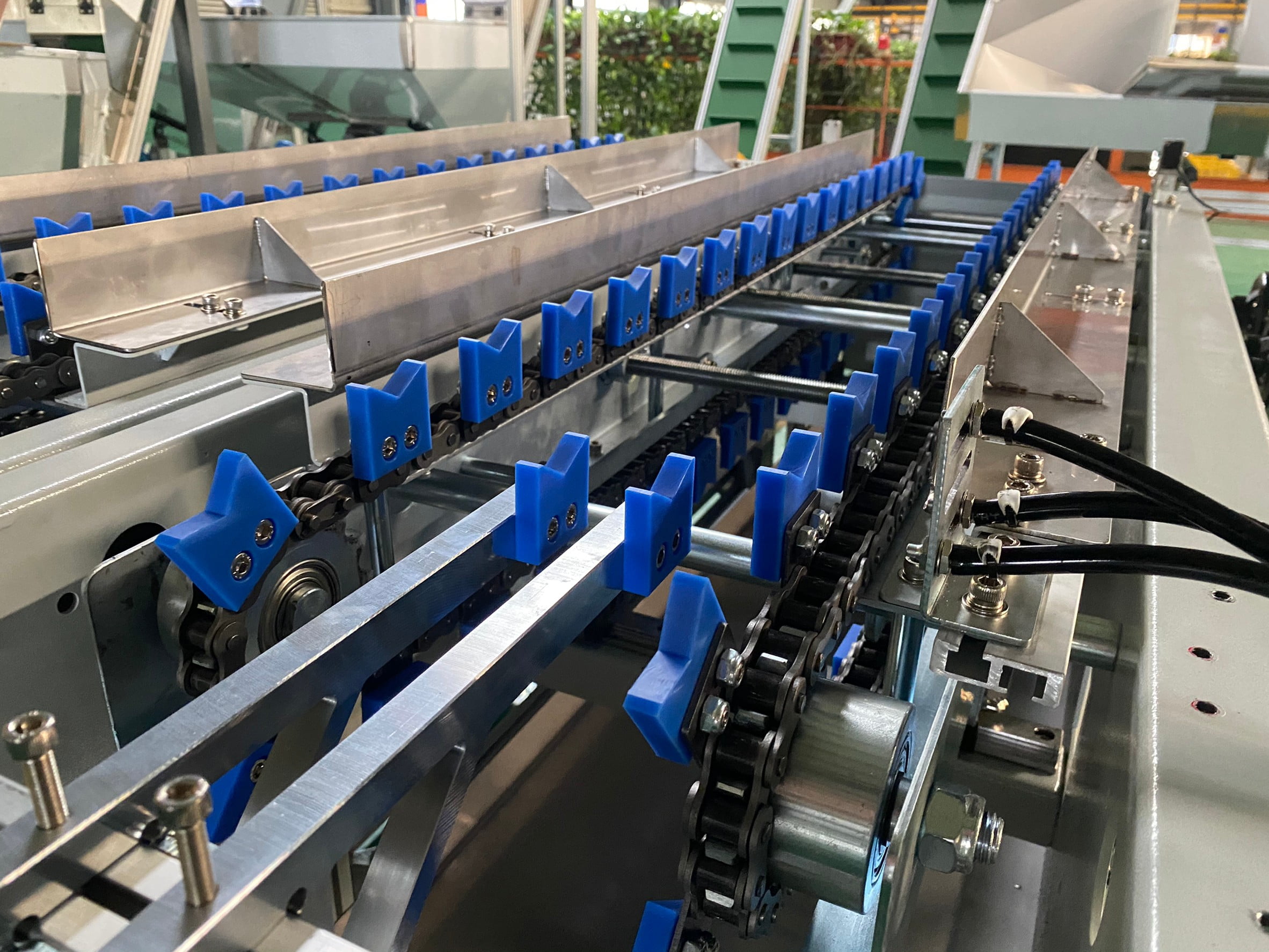 雙鍊條治具輸送機-麗晨輸送機自動化設備公司