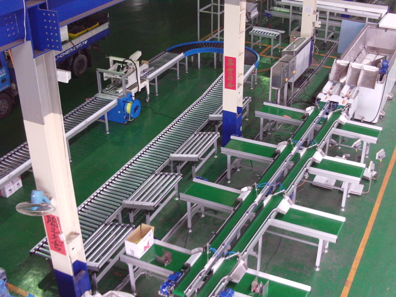 Automated Equipment for Carrot Food
